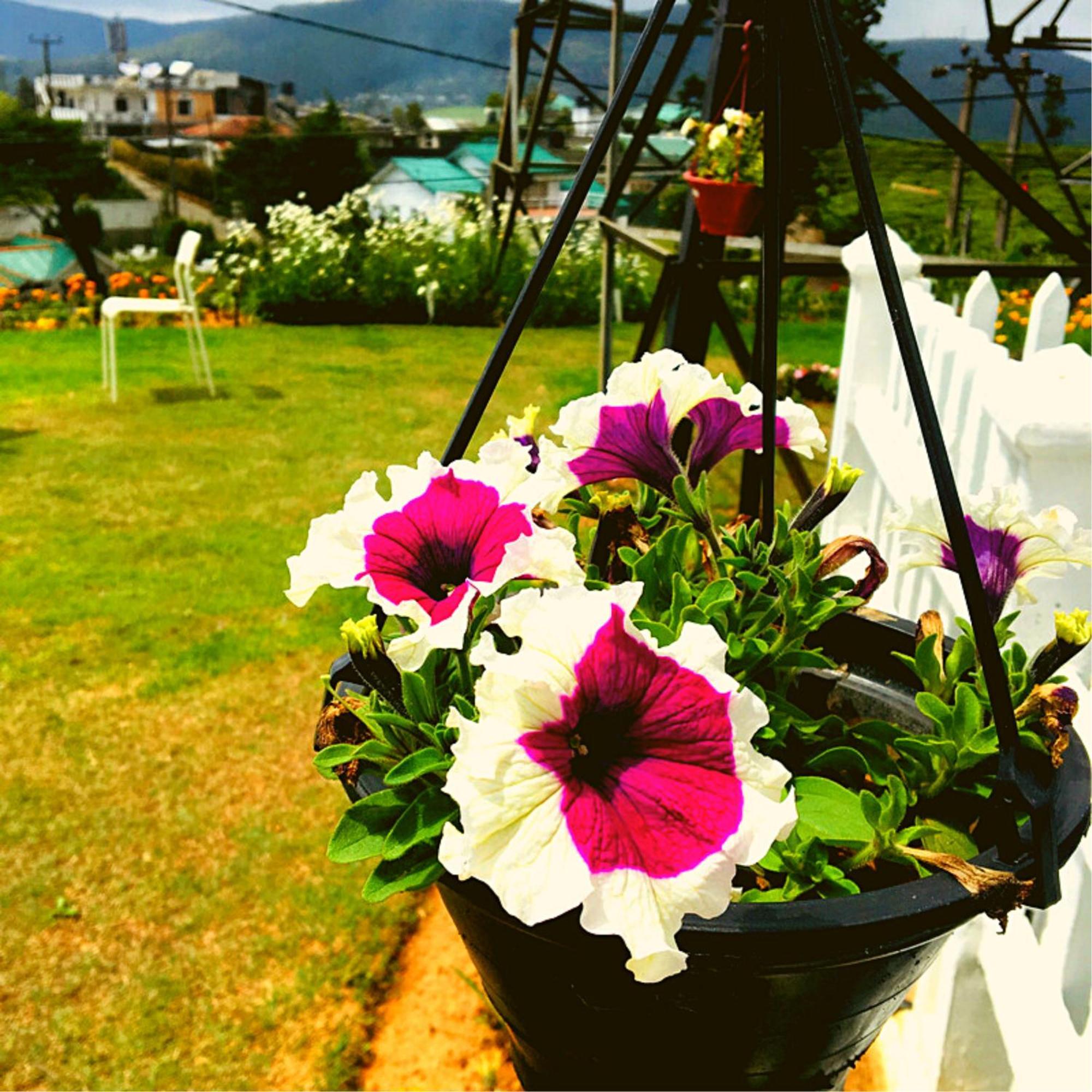 Thuring'S Holiday Bungalow Nuwara Eliya Luaran gambar